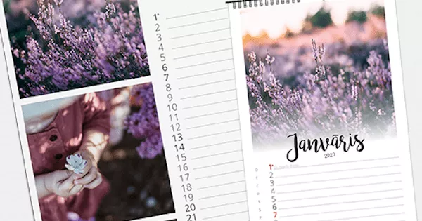 Establishment of calendars for 2022
