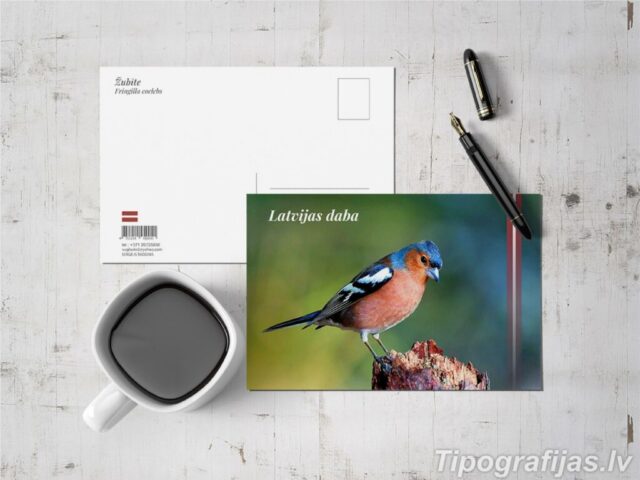 Printing of advertising printing. Design of advertising printing #1